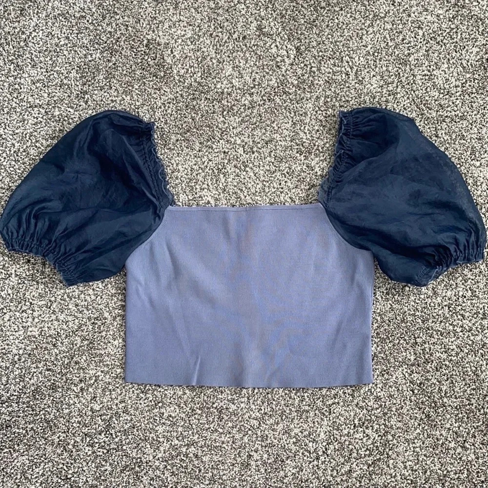 Aritiza Wilfred Sheer Puff Sleeve Top in Blue